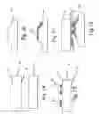 Fig. 06 - Quartz-based nanoresonators and method of fabricating same