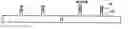 Fig. 01 - Quantum wire gate device and method of making same