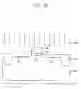 Fig. 08 - Method for manufacturing semiconductor device