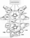 Fig. 01 - Sputtered spring films with low stress anisotropy