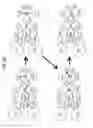 Fig. 62 - Polishing apparatus