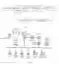 Fig. 02 - Radio remote control transmitted by short message of the mobile telephone system thereof