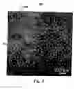 Fig. 06 - Nanoscale ordered composites of covalent ceramics for high-temperature structural applications via block-copolymer-assisted assembly and method of making