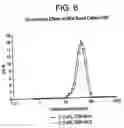 Fig. 07 - Pretreated and prepolymerized polyolefin catalyst, production thereof and method of use