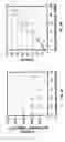 Fig. 02 - Catalyst support method and polymerization with supported catalysts