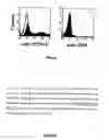 Fig. 07 - NTB-A, a surface molecule involved in natural killer cells activity