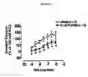 Fig. 06 - Methods of modulating smooth muscle contractility