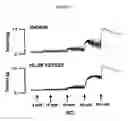 Fig. 07 - Methods of modulating smooth muscle contractility