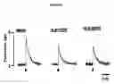 Fig. 09 - Methods of modulating smooth muscle contractility