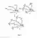 Fig. 03 - Scaffolded maleimide clusters for multivalent peptide assembly