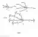 Fig. 04 - Scaffolded maleimide clusters for multivalent peptide assembly