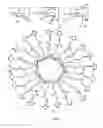 Fig. 06 - Scaffolded maleimide clusters for multivalent peptide assembly