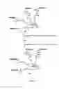 Fig. 07 - Scaffolded maleimide clusters for multivalent peptide assembly