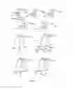 Fig. 10 - Scaffolded maleimide clusters for multivalent peptide assembly