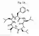 Fig. 02 - Cyclic peptide antitumor agents