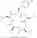 Fig. 07 - Cyclic peptide antitumor agents