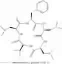 Fig. 08 - Cyclic peptide antitumor agents