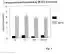 Fig. 02 - Use of monocarboxylate transporter protein for thyroid hormone transport