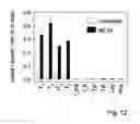 Fig. 13 - Use of monocarboxylate transporter protein for thyroid hormone transport