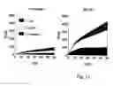 Fig. 14 - Use of monocarboxylate transporter protein for thyroid hormone transport