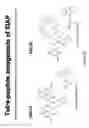 Fig. 46 - Methods and compositions for derepression of IAP-inhibited caspase