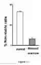 Fig. 52 - Methods and compositions for derepression of IAP-inhibited caspase