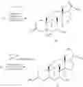 Fig. 75 - Pharmaceutical compositions and treatment methods - 8