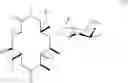 Fig. 04 - Process for producing erythromycin a derivative