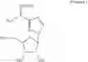 Fig. 22 - Nucleoside analogs with carboxamidine modified monocyclic base