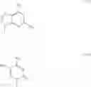 Fig. 09 - 2'-Substituted nucleosides and oligonucleotide derivatives