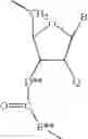 Fig. 22 - 2'-Substituted nucleosides and oligonucleotide derivatives