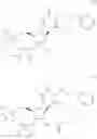 Fig. 52 - 2'-Substituted nucleosides and oligonucleotide derivatives