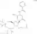 Fig. 69 - 2'-Substituted nucleosides and oligonucleotide derivatives