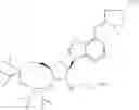 Fig. 72 - 2'-Substituted nucleosides and oligonucleotide derivatives