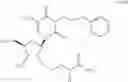 Fig. 87 - 2'-Substituted nucleosides and oligonucleotide derivatives