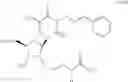 Fig. 90 - 2'-Substituted nucleosides and oligonucleotide derivatives