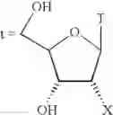 Fig. 95 - 2'-Substituted nucleosides and oligonucleotide derivatives