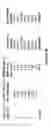Fig. 07 - Oligonucleotides and related compounds