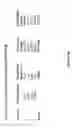 Fig. 09 - Oligonucleotides and related compounds