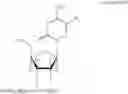 Fig. 25 - Oligonucleotides and related compounds