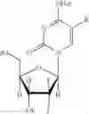 Fig. 31 - Oligonucleotides and related compounds