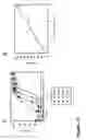 Fig. 22 - Methods of modulating activity of prokaryotic ribosomes
