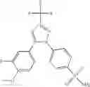 Fig. 109 - Compositions of a cyclooxygenase-2 selective inhibitor and a calcium modulating agent for the treatment of central nervous system damage