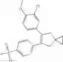 Fig. 116 - Compositions of a cyclooxygenase-2 selective inhibitor and a calcium modulating agent for the treatment of central nervous system damage
