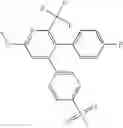 Fig. 171 - Compositions of a cyclooxygenase-2 selective inhibitor and a calcium modulating agent for the treatment of central nervous system damage