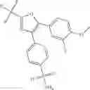 Fig. 205 - Compositions of a cyclooxygenase-2 selective inhibitor and a calcium modulating agent for the treatment of central nervous system damage