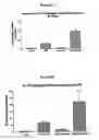 Fig. 04 - Methods of therapy
