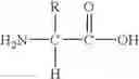 Fig. 33 - Indole derivatives having anti-angiogenetic activity