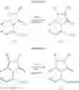 Fig. 06 - 2-oxo-1-pyrrolidine derivatives, process for preparing them and their uses