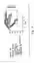 Fig. 05 - Treatment of diabetes with copper binding compounds